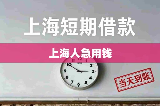 上海人急用钱