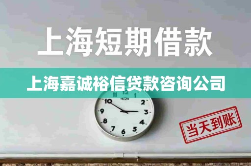 上海嘉诚裕信贷款咨询公司