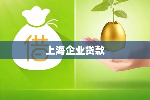 上海企业贷款 上海企业贷款